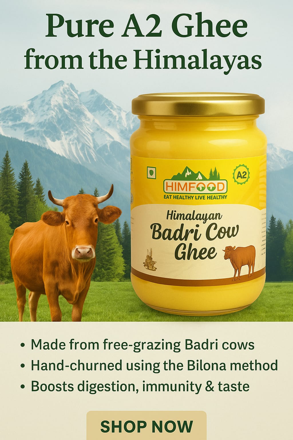 Himalayan Badri Cow Ghee – Pack of 2 (500ml + 500ml)