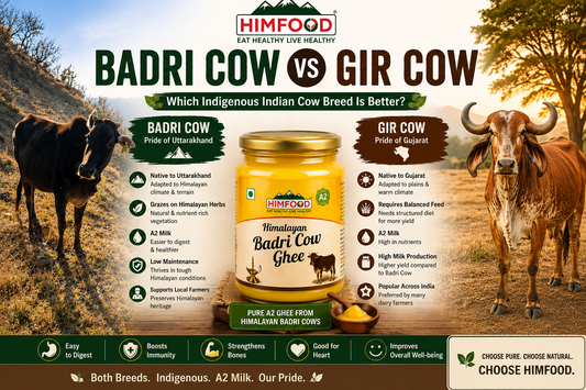 Badri Cow vs Gir Cow: Which Indigenous Indian Cow Breed Is Better?